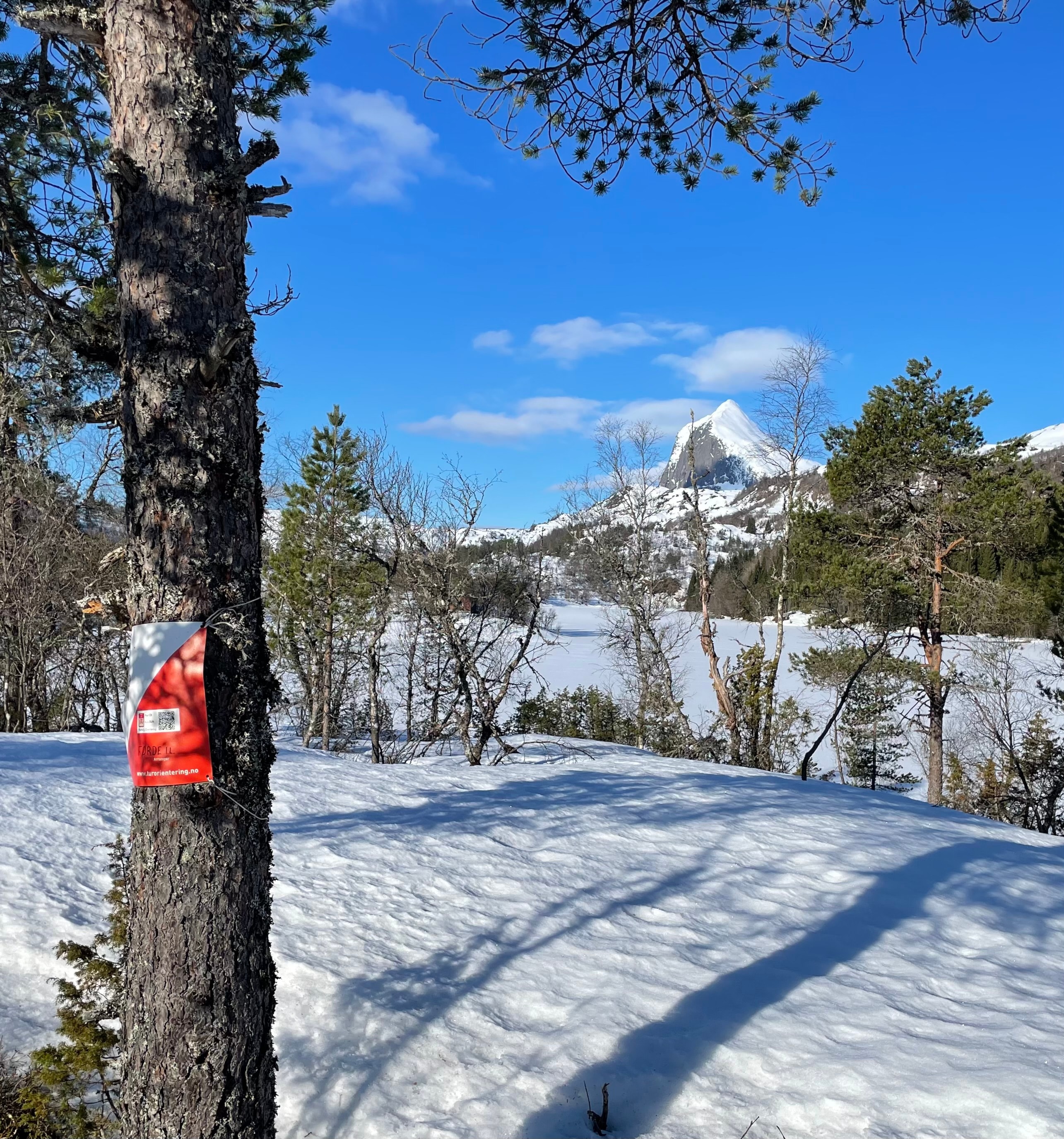 Alle 10 turane i TurO er på plass